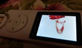 海诺官方爆料视频下载,深度解析最新动态与亮点